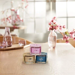 Yankee Candle Signature Candela Votiva In Vetro Wild Orchid 10 Ore -Vendite Yankee Candle 0099666 yankee candle signature candela votiva in vetro wild orchid 10 ore