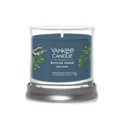 Yankee Candle Signature Candela In Tumbler Piccolo Bayside Cedar 30 Ore -Vendite Yankee Candle 0099807 yankee candle signature candela in tumbler piccolo bayside cedar 30 ore