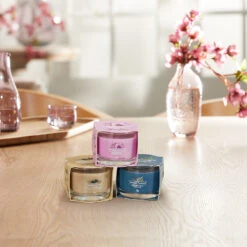 Yankee Candle Signature Candela Votiva In Vetro Bayside Cedar 10 Ore -Vendite Yankee Candle 0099812 yankee candle signature candela votiva in vetro bayside cedar 10 ore