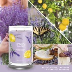 Yankee Candle Signature Candela In Tumbler Grande Lemon Lavender 100 Ore -Vendite Yankee Candle 0100023 yankee candle signature candela in tumbler grande lemon lavender 100 ore