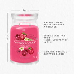 Yankee Candle Signature Candela In Giara Grande Red Raspberry 90 Ore -Vendite Yankee Candle 0100386 yankee candle signature candela in giara grande red raspberry 90 ore