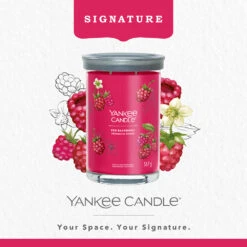Yankee Candle Signature Candela In Tumbler Grande Red Raspberry 100 Ore 6 Yankee Candle Signature Candela In Tumbler Grande Red Raspberry 100 Ore -Vendite Yankee Candle 0100390 yankee candle signature candela in tumbler grande red raspberry 100 ore