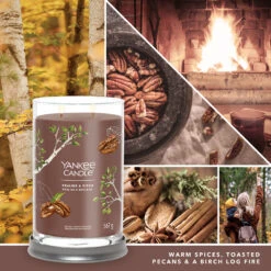 Yankee Candle Signature Candela In Tumbler Grande Praline & Birch 100 Ore 7 Yankee Candle Signature Candela In Tumbler Grande Praline & Birch 100 Ore -Vendite Yankee Candle 0100414 yankee candle signature candela in tumbler grande praline birch 100 ore