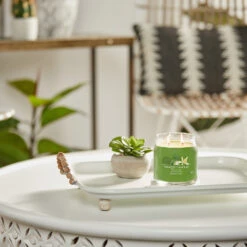 Yankee Candle Signature Candela In Giara Media Vanilla Lime 50 Ore -Vendite Yankee Candle 0100514 yankee candle signature candela in giara media vanilla lime 50 ore